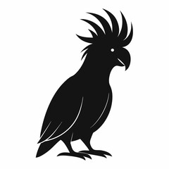 Graceful Cockatoo Silhouette Print