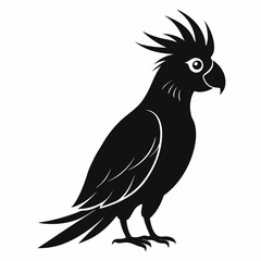Graceful Cockatoo Silhouette Print