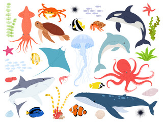 Marine animals with elements of underwater life. Sea animals vector illustration set. Cute sea or oceanic inhabitants on a white background.