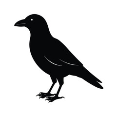 Fototapeta premium Crow Silhouette Bird Vector Icon Simple and Clean 5