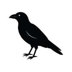 Fototapeta premium crow silhouette bird vector icon simple and clean