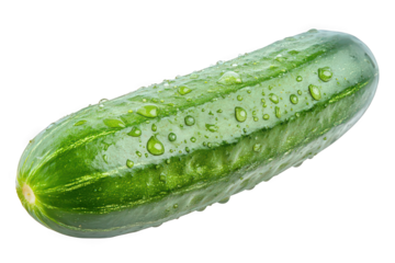 Fresh green cucumber with water droplets on a white background.