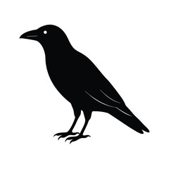 Obraz premium minimalistic crow silhouette vector illustration for design