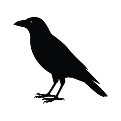 Fototapeta premium minimalistic crow silhouette vector simple and po design