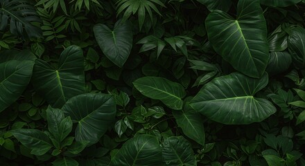 Emerald Embrace AI Generated