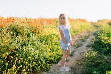 Child girl outdoors countryside. Child in denim dress with sunshine
