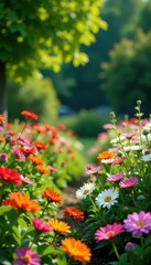 Vibrant garden with colorful flowers and lush greenery, blossoms, summer