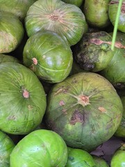 round zucchini for sale at the supermarket
