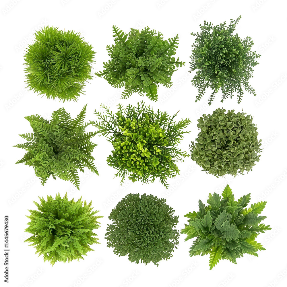 Poster various types of lush green plants are arranged in grid pattern, showcasing different textures and l