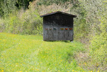 A wooden beehive with a colorful entrance stands in a flowering meadow, surrounded by green trees and bushes. front view