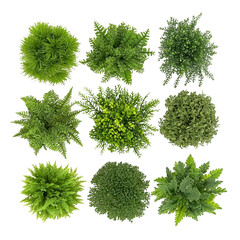 Fototapeta premium Various types of lush green plants are arranged in grid pattern, showcasing different textures and leaf shapes. vibrant greenery creates fresh and natural aesthetic