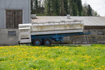 A vintage milk truck rests beside a farm structure, covered with patches of moss and parked on vibrant green grass. Yellow dandelions bloom all around, showcasing the beauty of spring in nature.