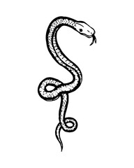 Snake hand-drawn vector sketch animal reptile logo vector art.