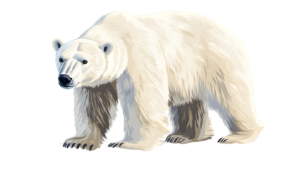Adorable Illustrated Polar Bear on Transparent Background for Creative Designs