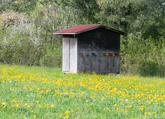 A wooden beehive with a colorful entrance stands in a flowering meadow, surrounded by green trees and bushes.