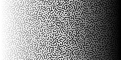 Fototapeta premium Diffusion reaction seamless vector pattern. Natural seamless line pattern. Linear design with biological shapes. Reaction-diffusion or truing pattern formation. abstract truing organic wallpaper. 