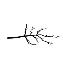 Tree Branch Silhouette for Botanical and Nature. Vector Illustration
