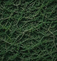 Intricate green organic lines weave a complex, abstract pattern ,  flowing,  leaves,  green