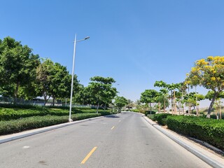 Palm Tree, View of Palm tree with Blue SKY background, Date tree or Arabic palm tree with Date on it
Palm trees with Dates fruits on its, trees are Loaded with bunches of fruits
Healthy food Date Plam