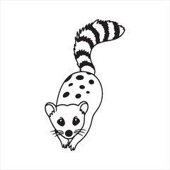 Spotted Quoll in Natural Habitat – Carnivorous Marsupial of Australia