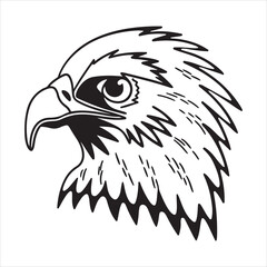 Brilliant Plumage of the Resplendent Quetzal – Exotic Wildlife Close-Up