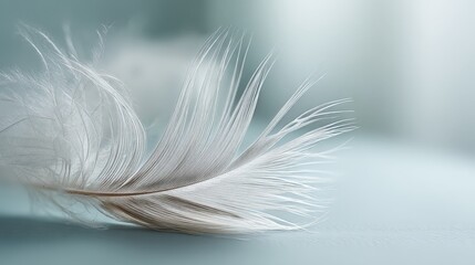 Delicate White Feather with Black Speckles on Light Blue Background