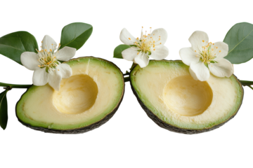 Two halved avocados adorned with delicate white blossoms serene nature s beauty soft lighting
