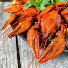 Appetizing Cooked Crayfish Display
Concept of seafood, culinary delight, presentation