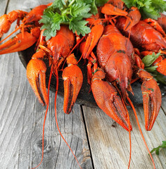 Appetizing Cooked Crayfish Display
Concept of seafood, culinary delight, presentation