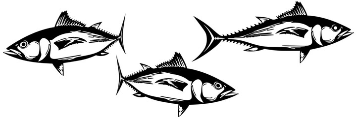vector illustration of fish for a world tuna day
