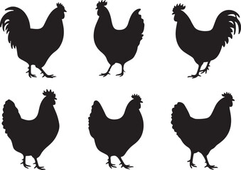 Chicken set vector silhouette illustration design