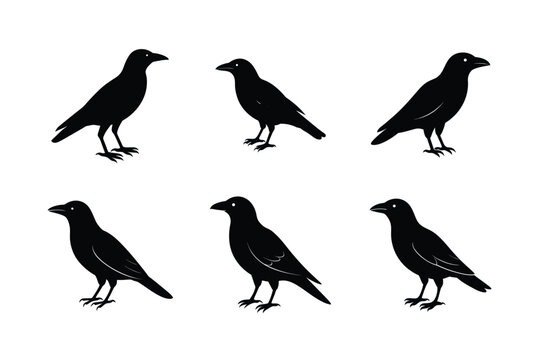 Abstract Black Crow Silhouette Vector Illustration