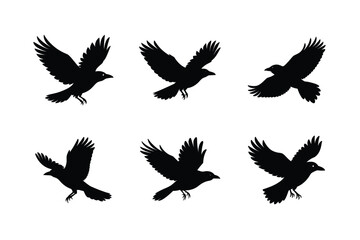 Obraz premium Stylized Minimal Bird Silhouette Vector Illustration