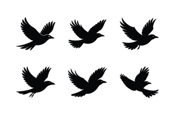 Fototapeta premium Black Bird Flying Silhouette Vector Illustration