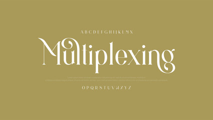 Beautiful Elegant Serif Font. Sophisticated Typeface for Luxury Branding and Design.