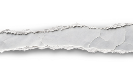 a detailed, irregularly torn strip of white paper against a solid gray background. The tear should be jagged and uneven, with numerous small, fibrous edges visible along the tear lin