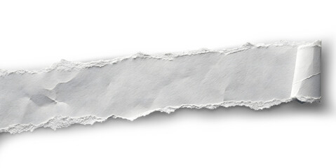 a detailed, irregularly torn strip of white paper against a solid gray background. The tear should be jagged and uneven, with numerous small, fibrous edges visible along the tear lin