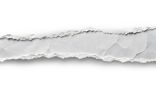 a detailed, irregularly torn strip of white paper against a solid gray background. The tear should be jagged and uneven, with numerous small, fibrous edges visible along the tear lin