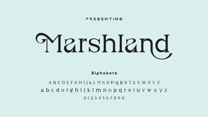 Elegant Calligraphy Script Font. Perfect for Weddings, Invitations and Luxury Branding.