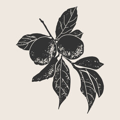 Vintage hand-drawn lemon branch in black and white. Elegant botanical illustration of a lemon branch with fruits and leaves. Black and white textured woodcut  art with vintage engraving aesthetics. 