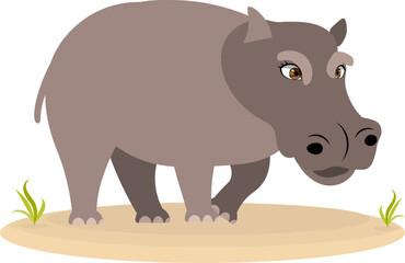 Cute zoo. Vector animals. Serious hippopotamus. Vector collection of animals. Isolated