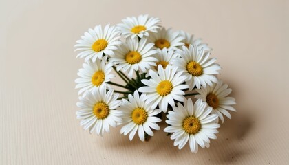 Fototapeta premium Elegant white flowers on a table, tranquil and beautiful floral arrangement serene
