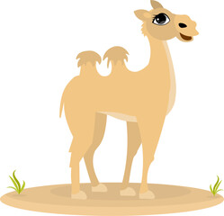 Cute zoo. Vector animals. A cheerful camel stands. Vector collection of animals. Isolated