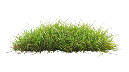 Vibrant Green Grass Field on Transparent Background - Ideal for Product Placement