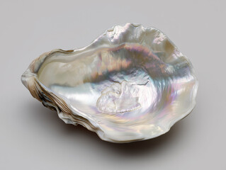 Empty oyster shell showing iridescent nacre on neutral background