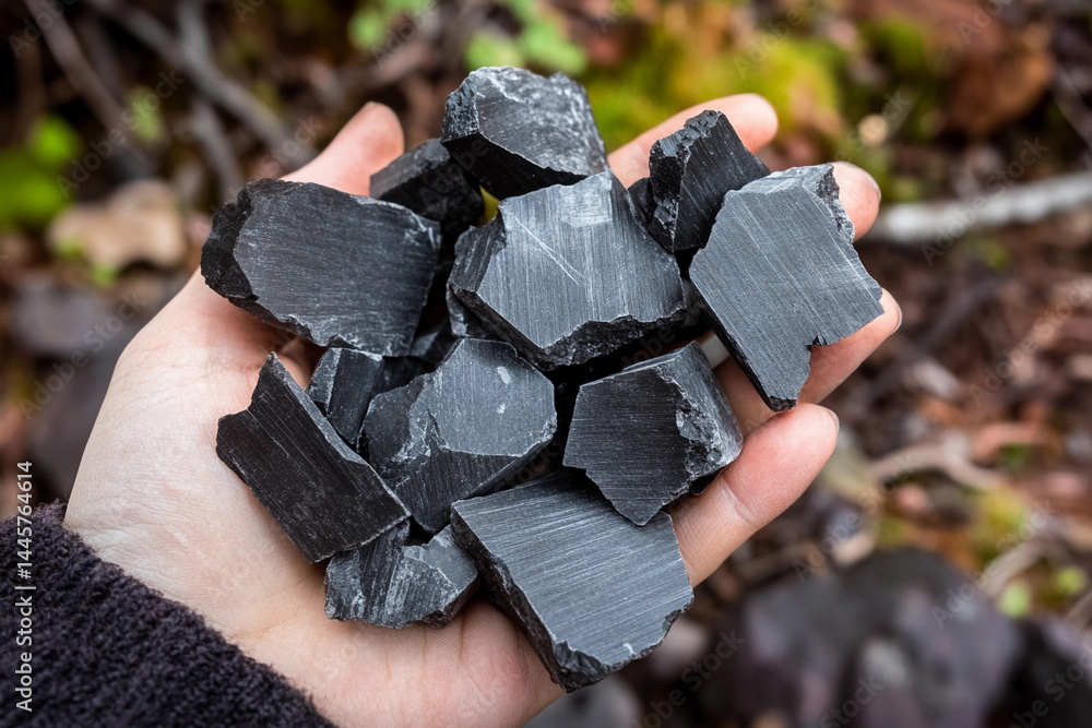 Aufkleber Close up of graphite collection handheld in natural setting Generative AI