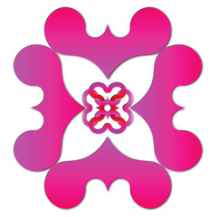 pink flower on white background