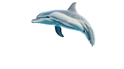 Obraz premium Graceful Dolphin Jumping Isolated on White Background for Creative Designs