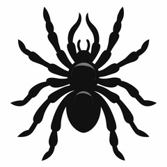 Bold Tarantula Silhouette Vector Art