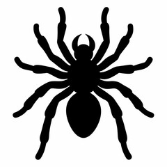 Bold Tarantula Silhouette Vector Art